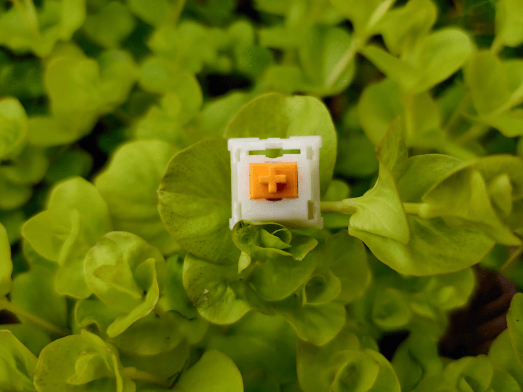 Glorious Panda switch with plant.