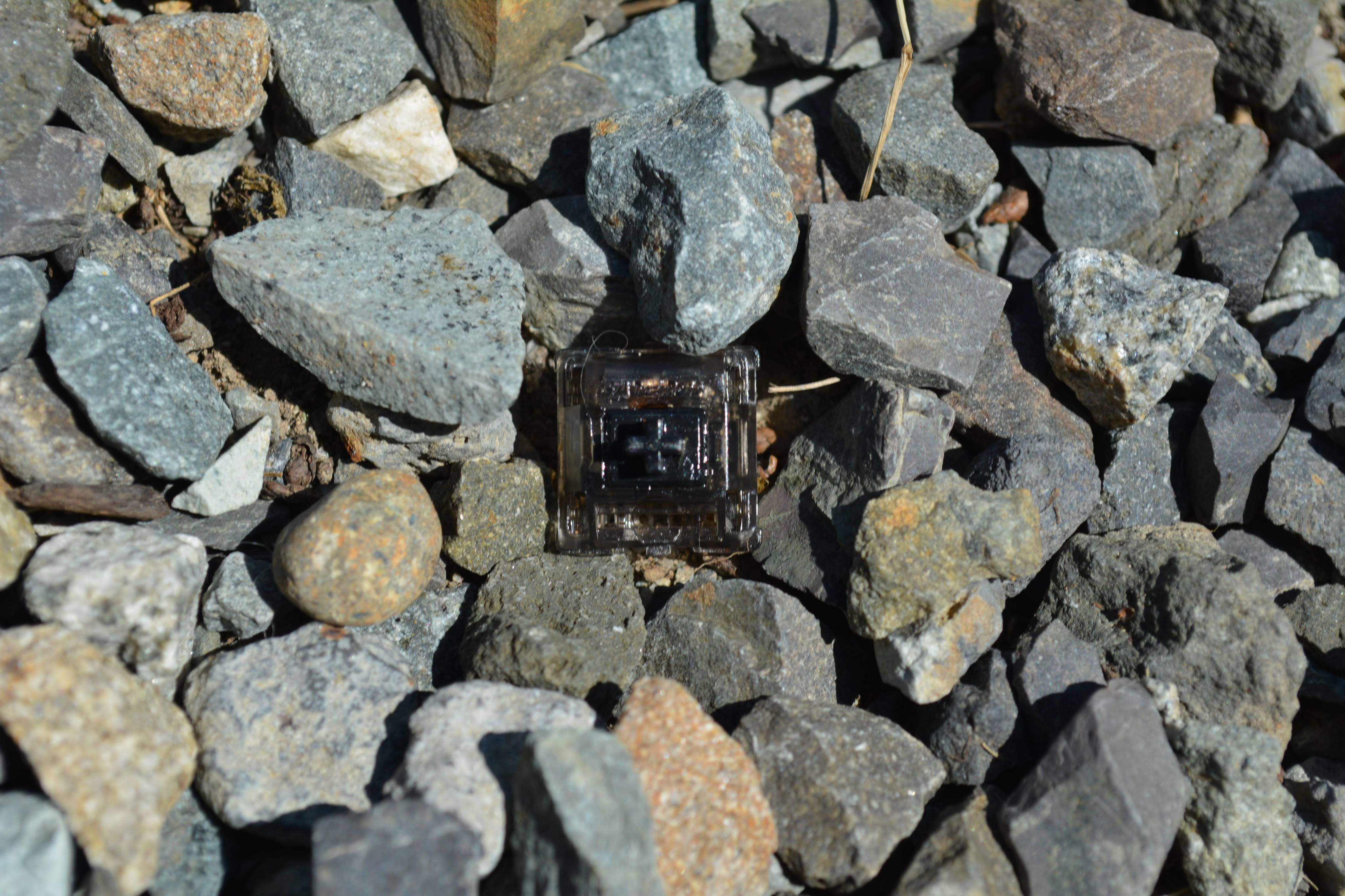 Gateron Black Ink mechanical keyboard switch with rocks behind it.