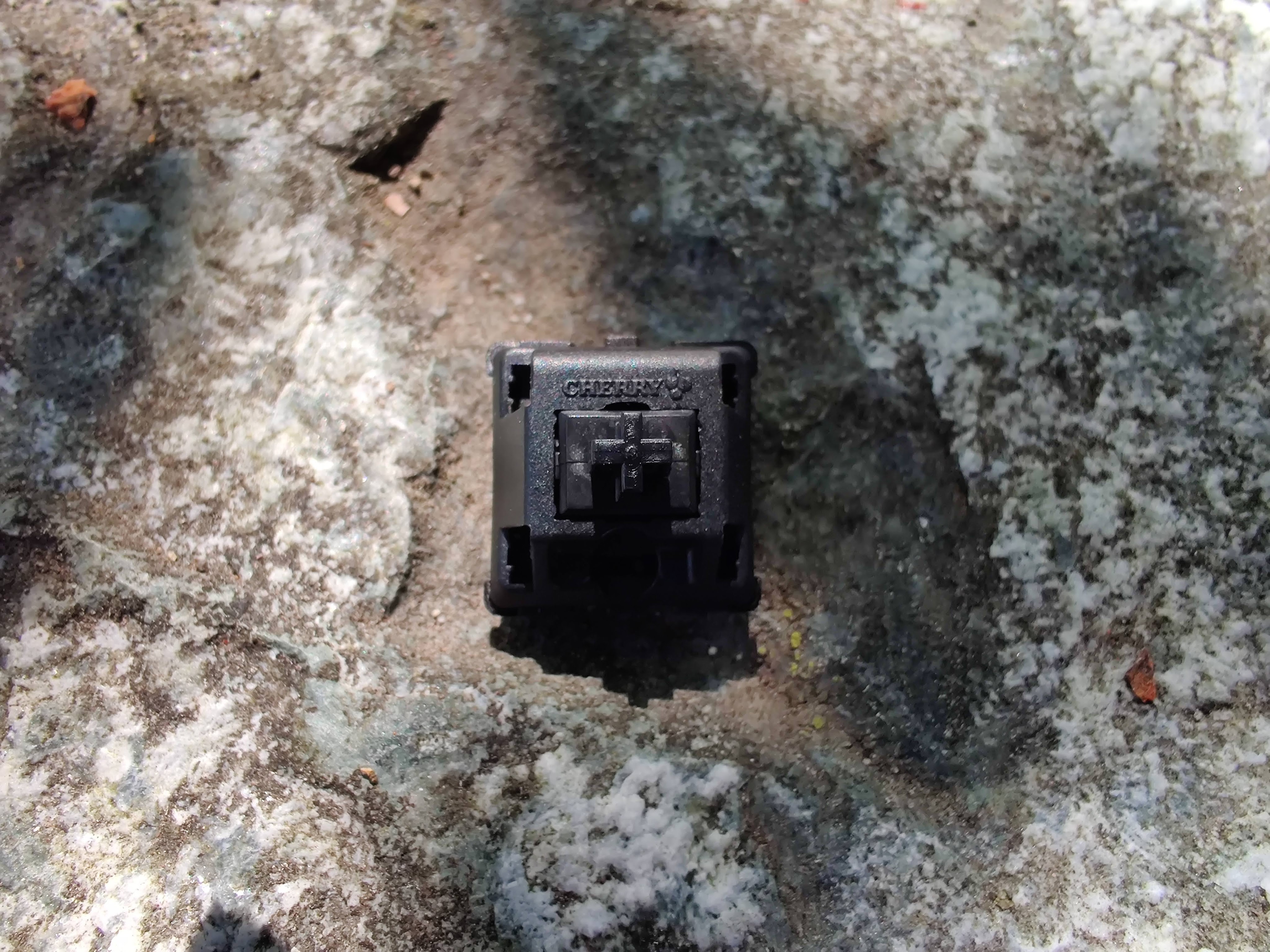 Vintage Cherry MX Black switch sitting on a rock.