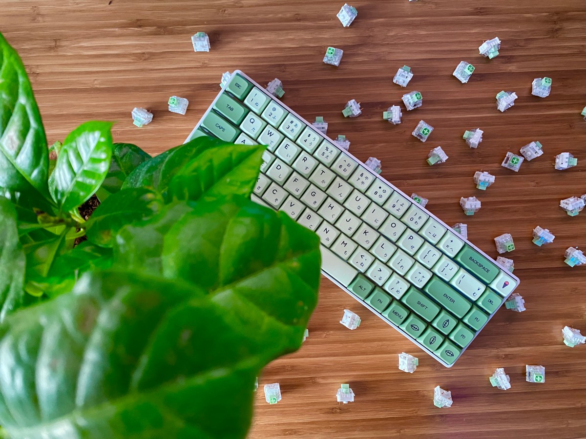 Best Clicky Switches [2022] – The Tech Frontier