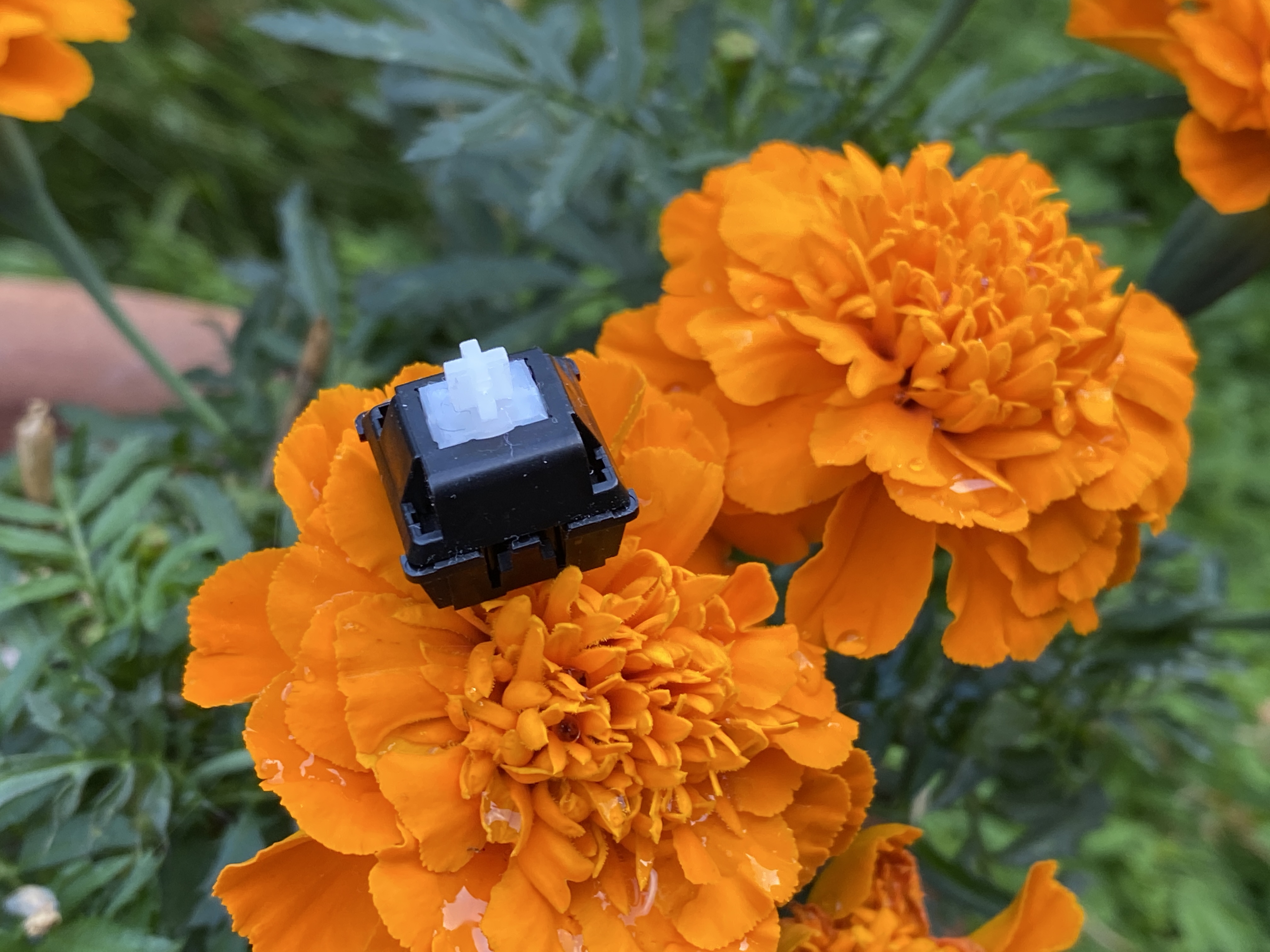 Best Linear Switches [2022] – The Tech Frontier